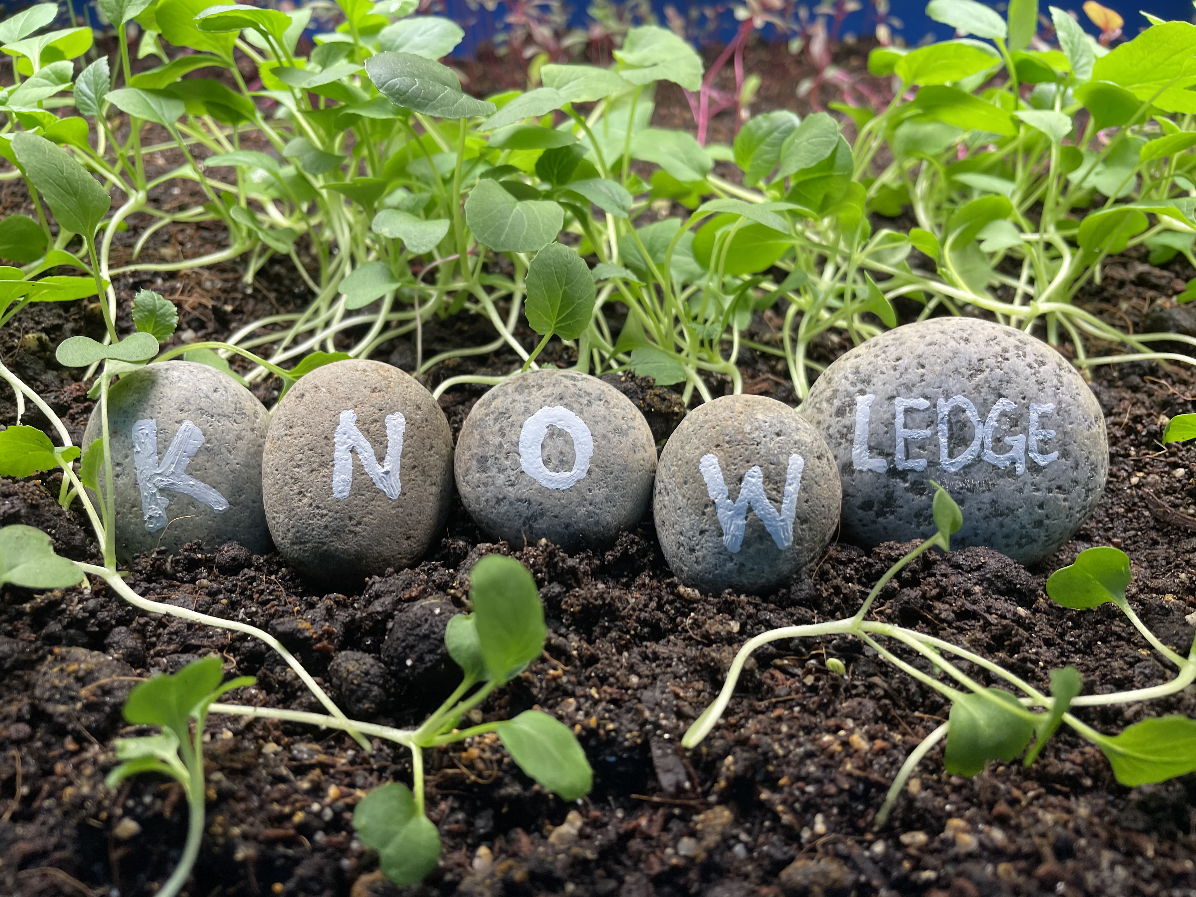 Knowledge Base