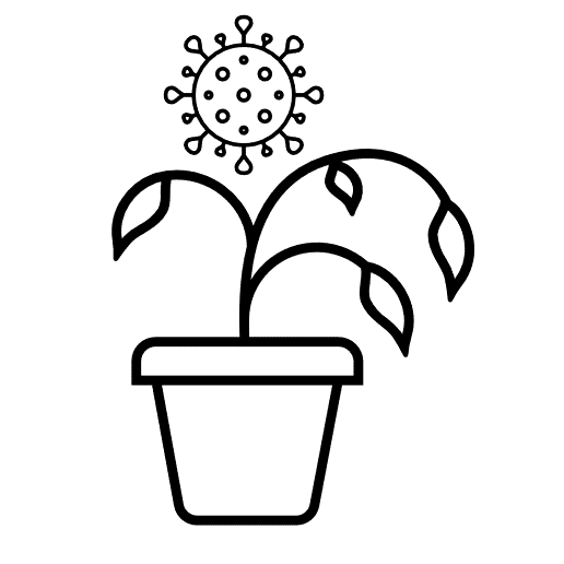 /images/KnowledgeBase/disease-icon.png